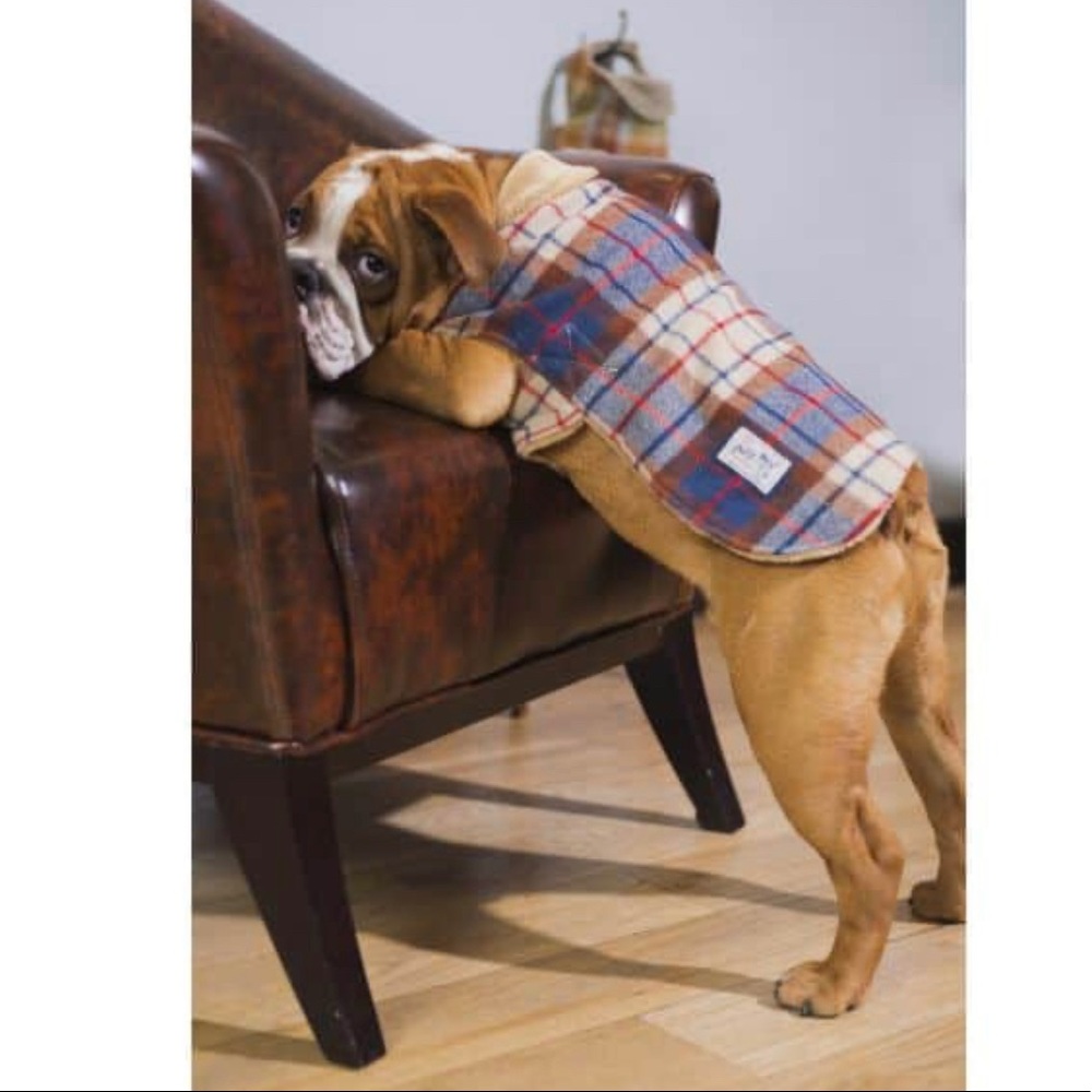 Dog Plaid Jacket size xs